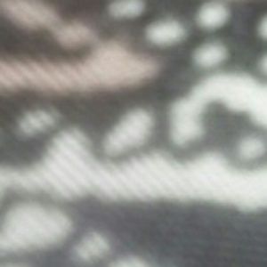 Meet your Posher, Tay